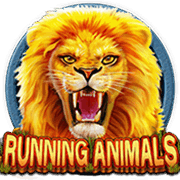 Running Animals
