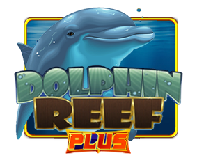 Dolphin Reef plus