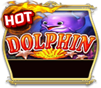 Dolphin Op