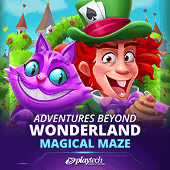 Adventures Beyond Wonderland Magical Maze