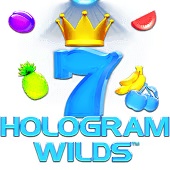 Hologram Wilds