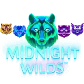 Midnight Wilds