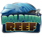 Dolphin Reef