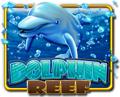 Dolphin Reef