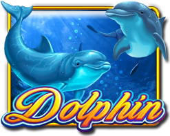 Dolphin